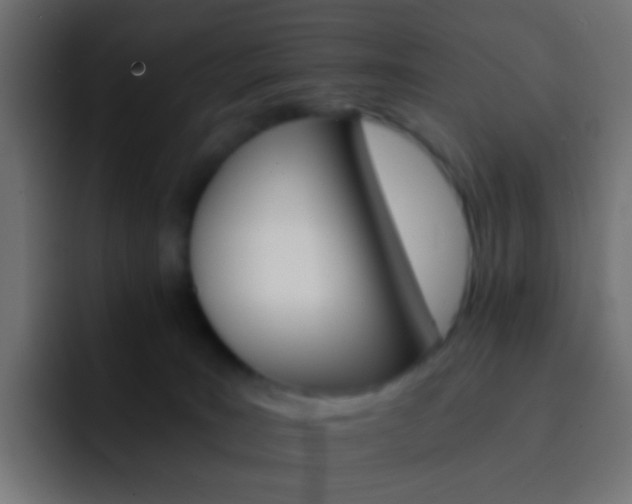 X0000093150035200710031436