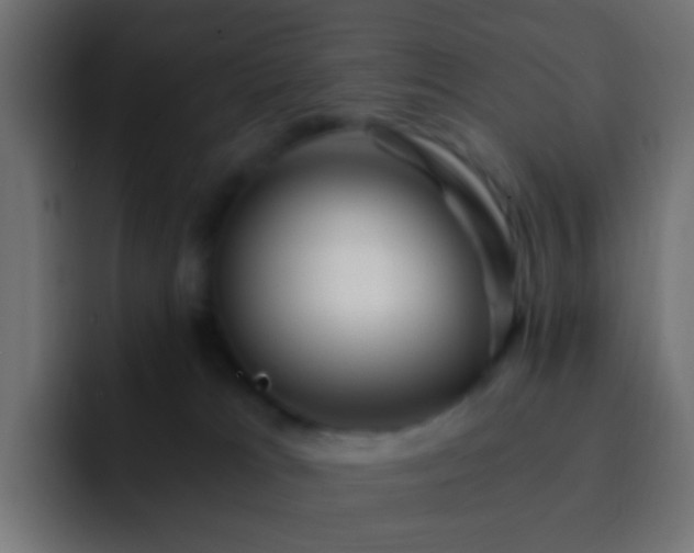 X0000093150037200710031436