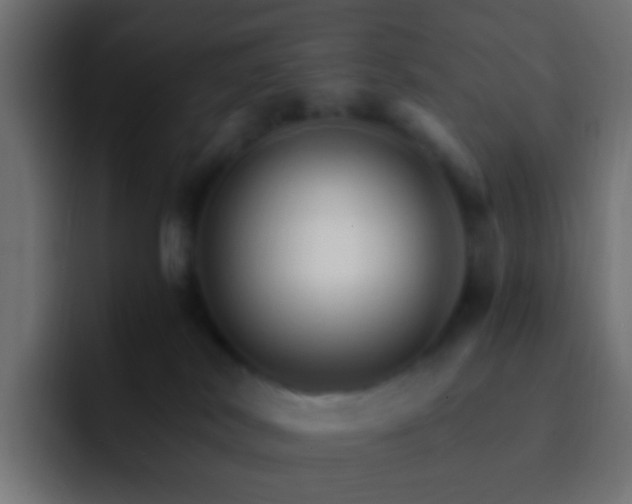 X0000093150038200710031436