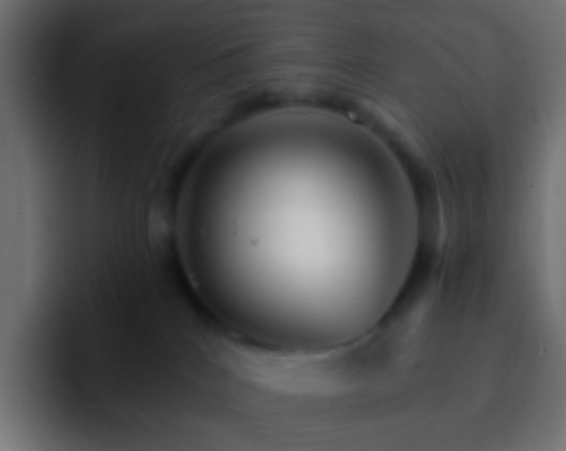 X0000093150040200710031436