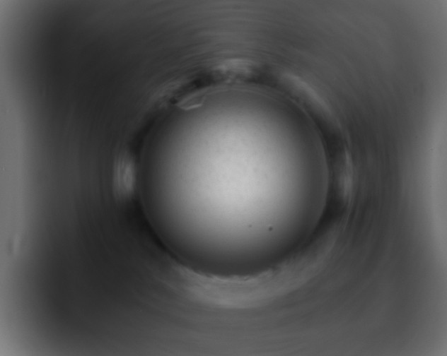 X0000093150042200710031436