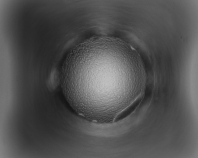 X0000093150043200710031436