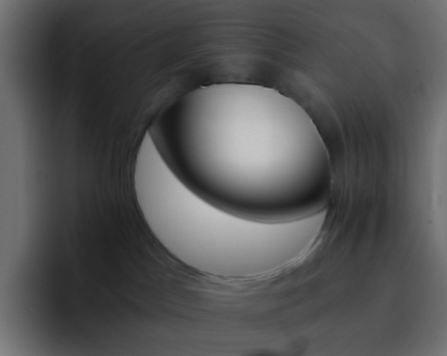 X0000093150045200710031435