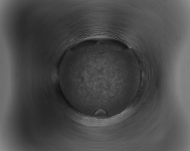 X0000093150048200710031435