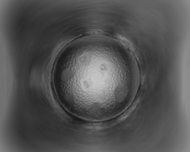 X0000093150049200710031435