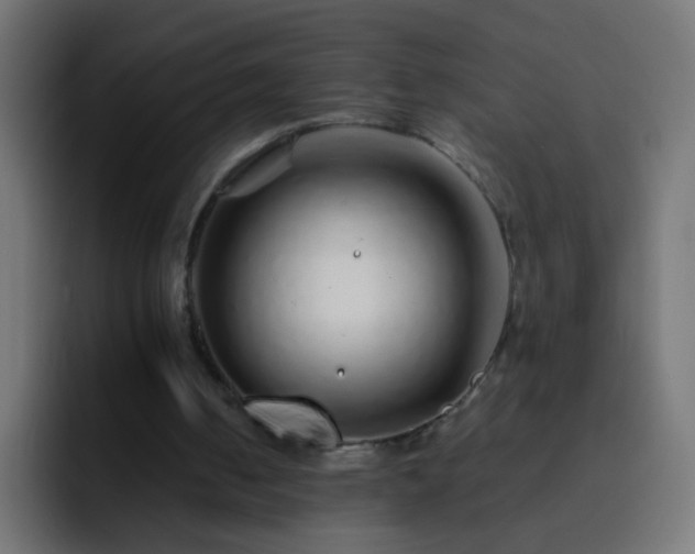 X0000093150050200710031435