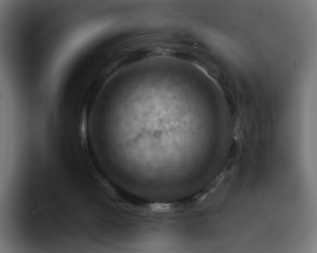 X0000093150052200710031435