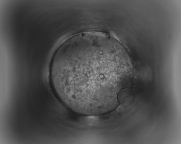 X0000093150053200710031435