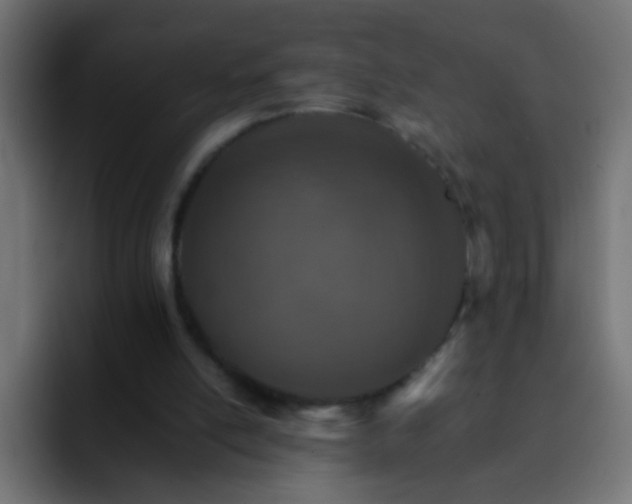 X0000093150054200710031435