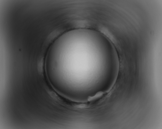 X0000093150058200710031435