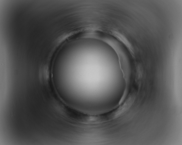 X0000093150060200710031435