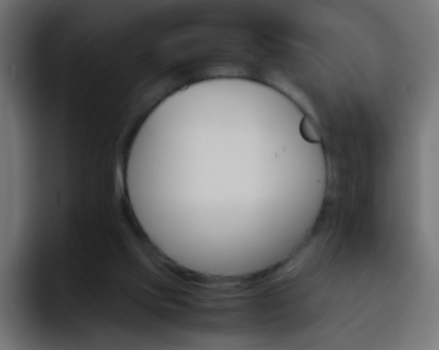 X0000093150061200710031435