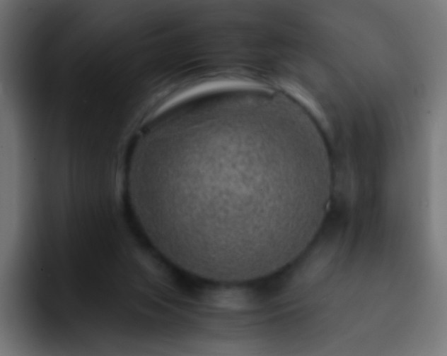 X0000093150063200710031435