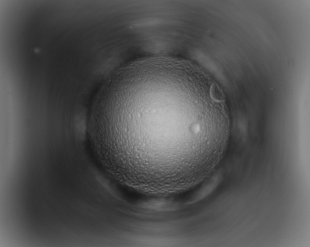 X0000093150065200710031435