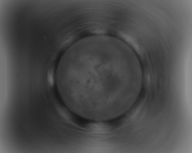 X0000093150069200710031435