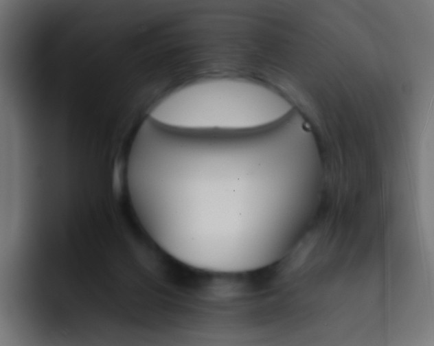 X0000093150070200710031435