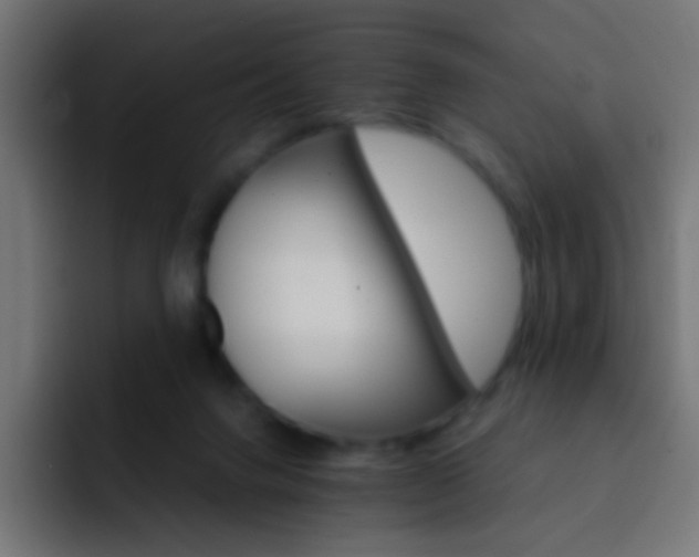 X0000093150072200710031435