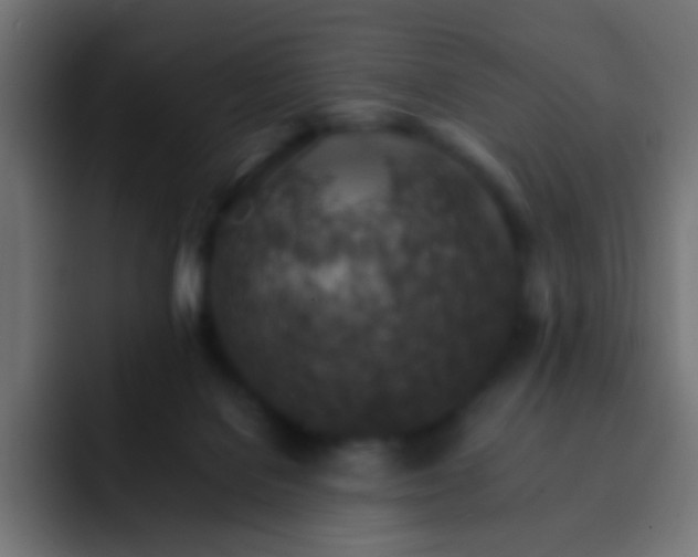 X0000093150076200710031435