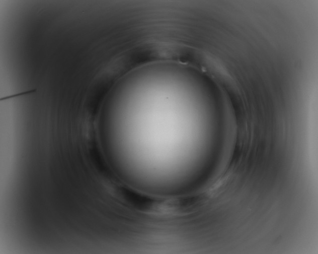 X0000093150078200710031435