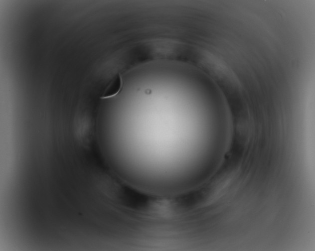 X0000093150079200710031435
