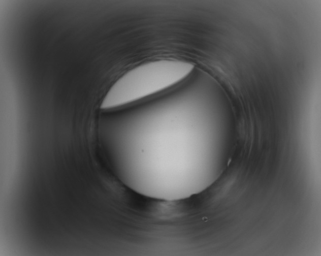 X0000093150092200710031435