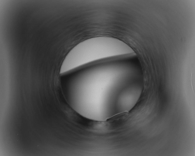 X0000093150096200710031435