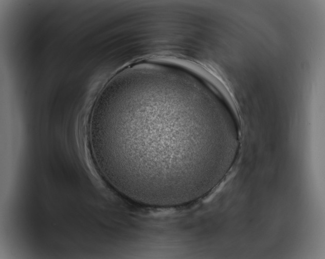 X0000093150097200710031435