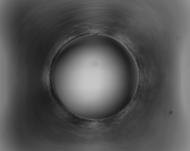 X0000093150098200710031435
