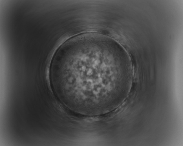 X0000093150099200710031435