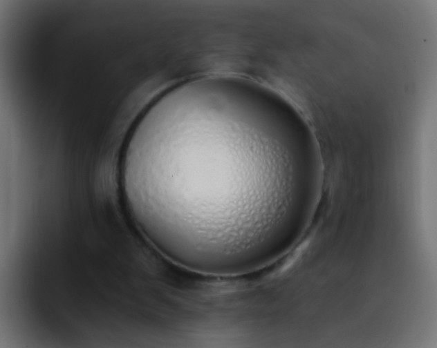 X0000093150103200710031435