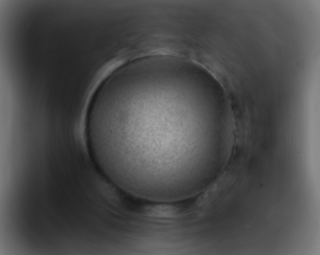 X0000093150104200710031435