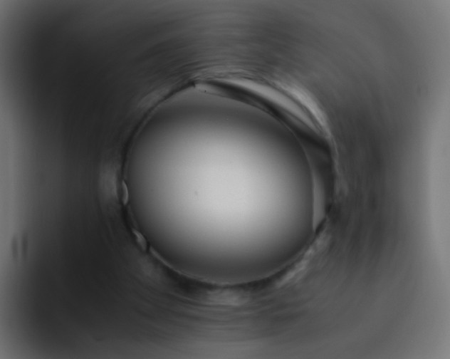 X0000093150105200710031435