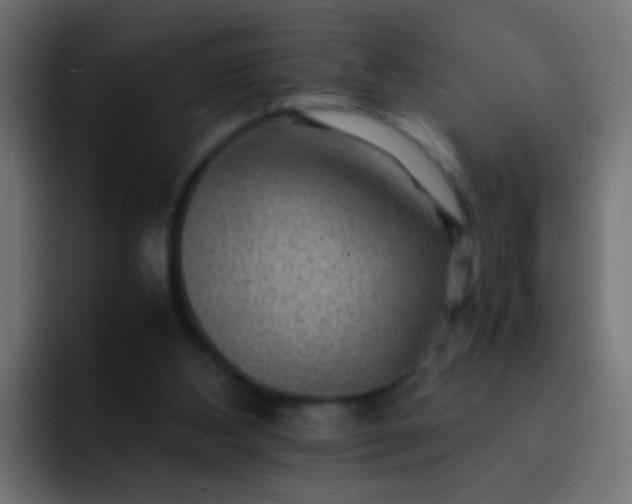 X0000093150108200710031435