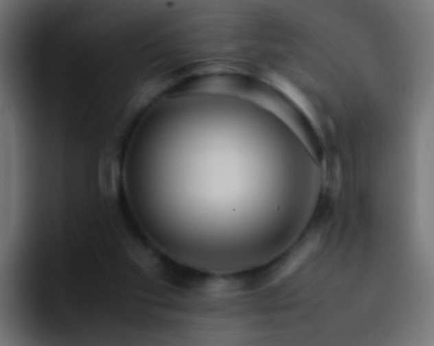X0000093150109200710031435