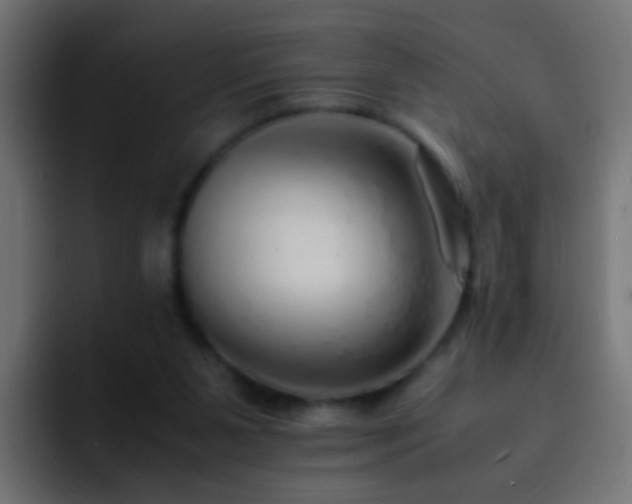 X0000093150111200710031435