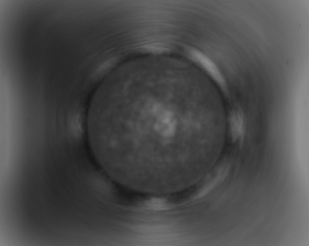 X0000093150114200710031435