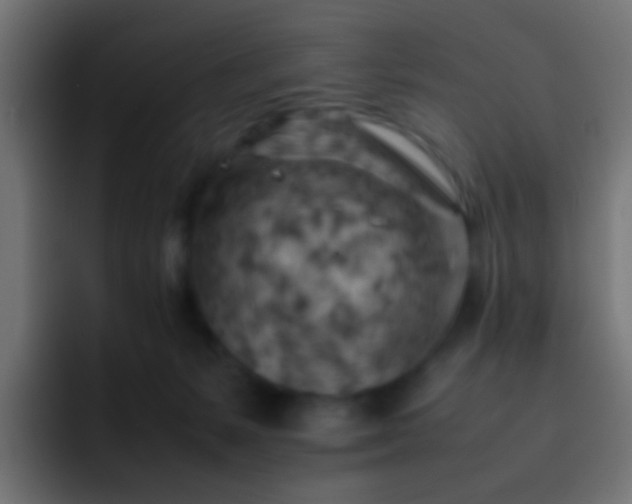 X0000093150127200710031435