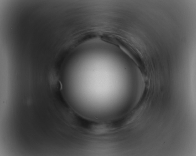 X0000093150129200710031435