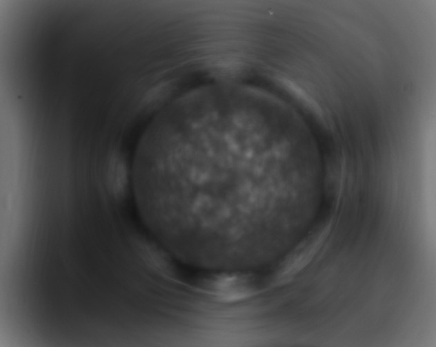 X0000093150130200710031434