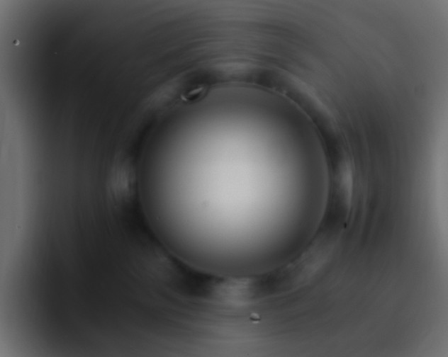 X0000093150138200710031434