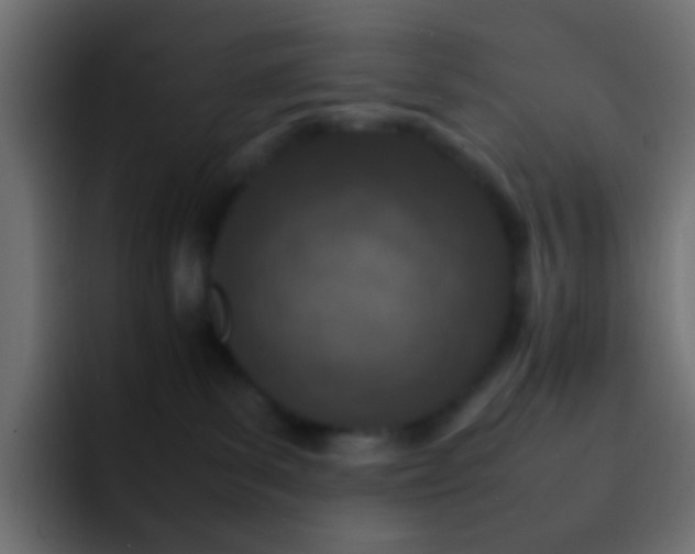 X0000093150139200710031434