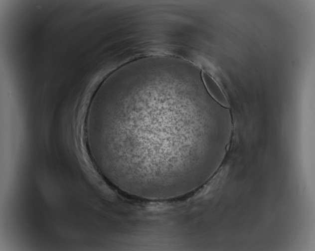 X0000093150145200710031434