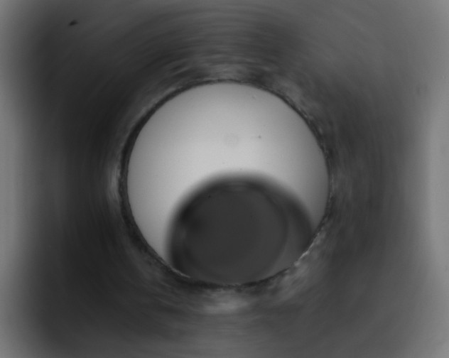 X0000093150146200710031434