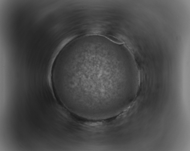 X0000093150147200710031434
