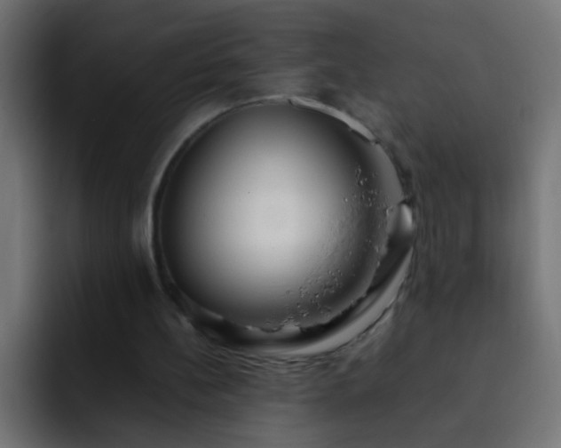 X0000093150148200710031434