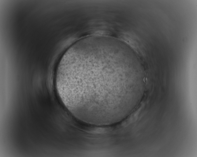 X0000093150149200710031434