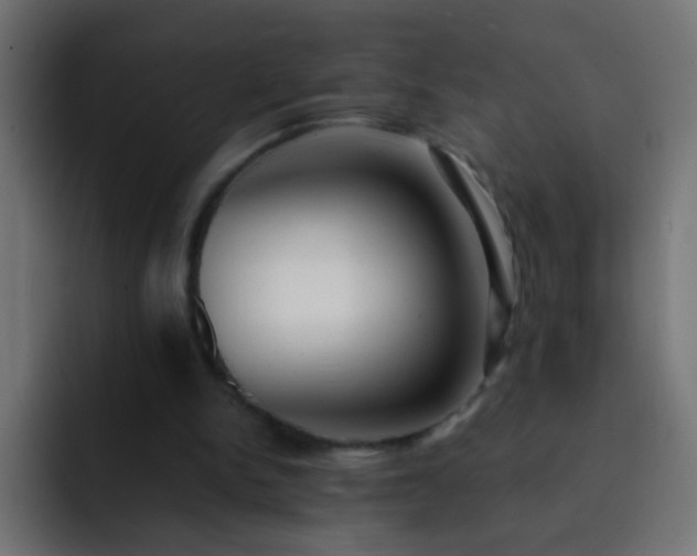 X0000093150150200710031434