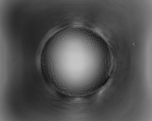X0000093150151200710031434
