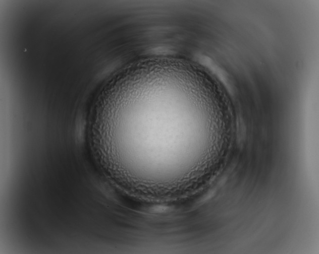 X0000093150153200710031434