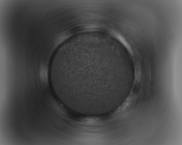 X0000093150154200710031434